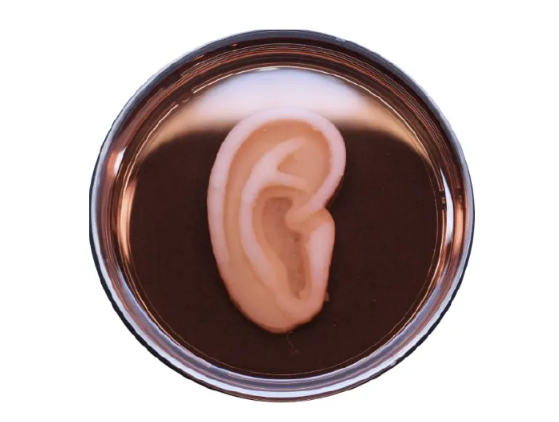 Forudsigelse nr. 8: Er vi parate til bioprinting?