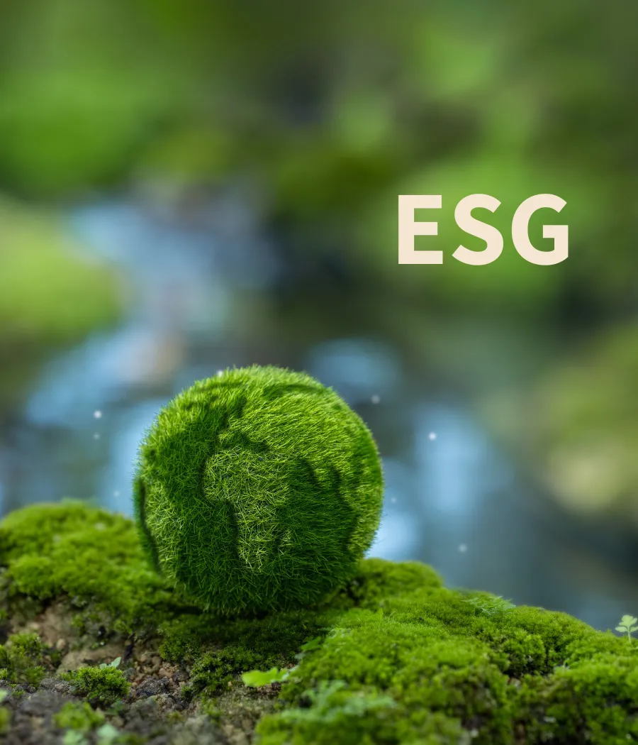 ESG-rapportering for SMV’er – Gør det simpelt og værdiskabende